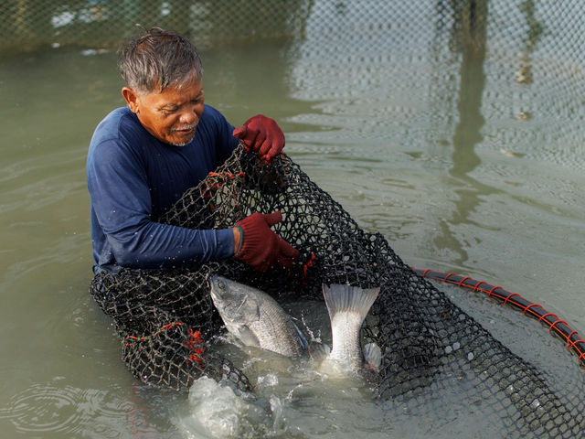 "ปลากะพงสามน้ำ" 🐟