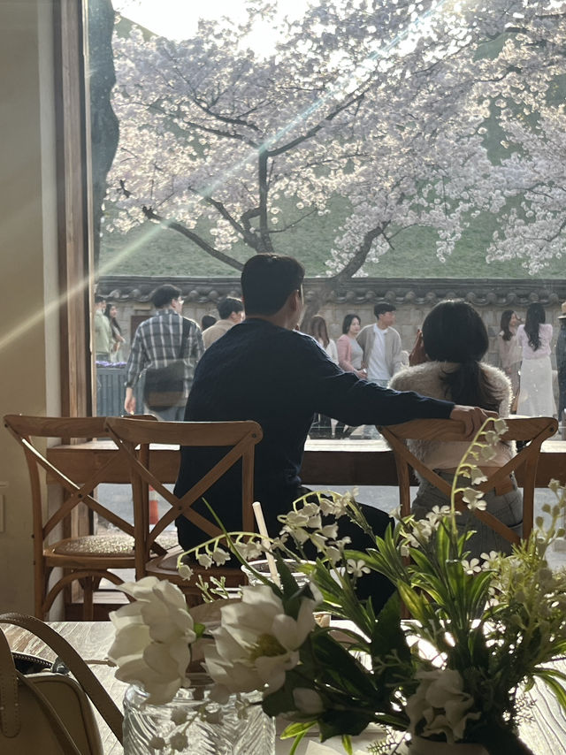 【韓国】慶州のおすすめカフェ☕️