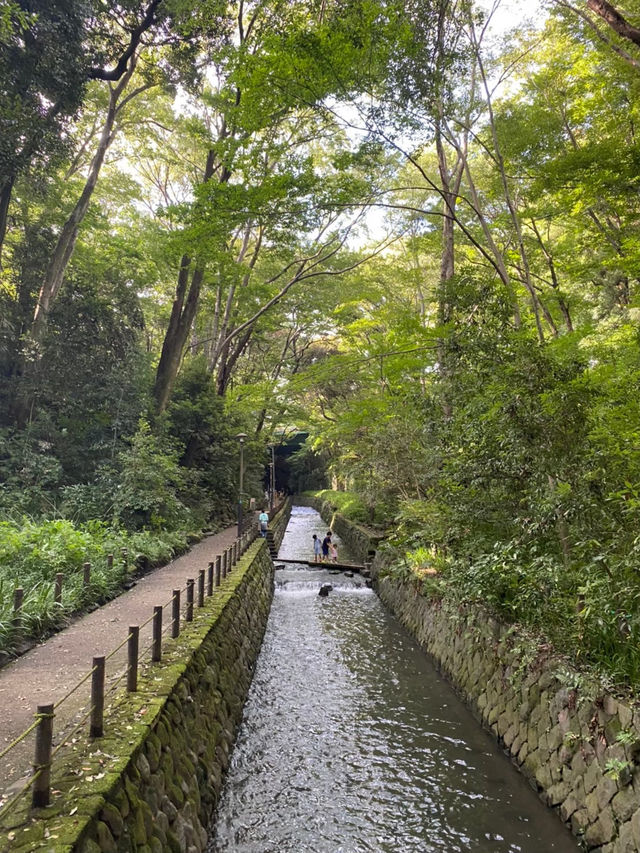 【世田谷区】都会を忘れる23区内唯一の自然渓谷🌳