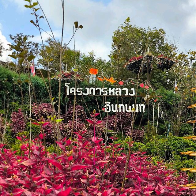 สถานีเกษตรหลวงอินทนนท์ สวนพรรณพืชดอกไม้สวยๆ