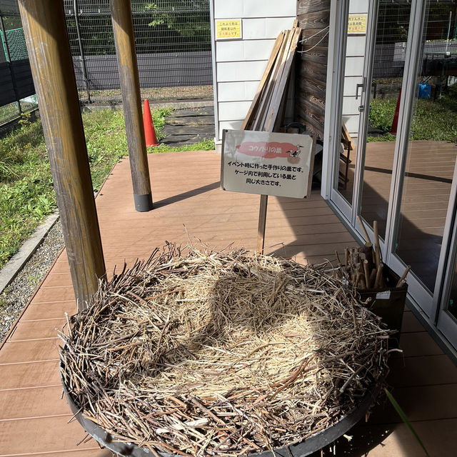 千葉県野田市【コウノトリの里】
