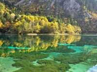 จิ่วจ้ายโกว (Jiuzhaigou)