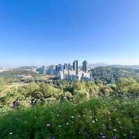 HANEUL PARK