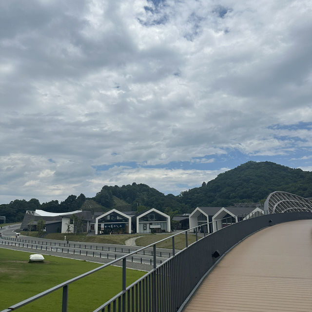 VISONの夏