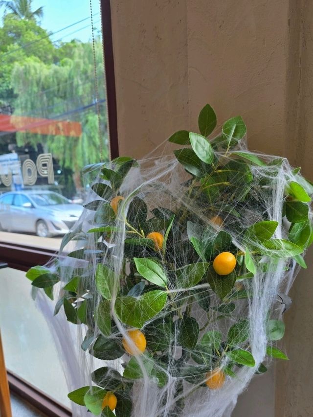 patus pasta พาสต้าเส้นสด .. ที่ เชียงใหม่ 