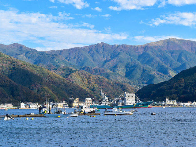【静岡】富士山と鳥居のコンビが絶景！意外と知らない穴場スポット✨