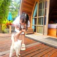 ปลายพู่ หน้าฝน