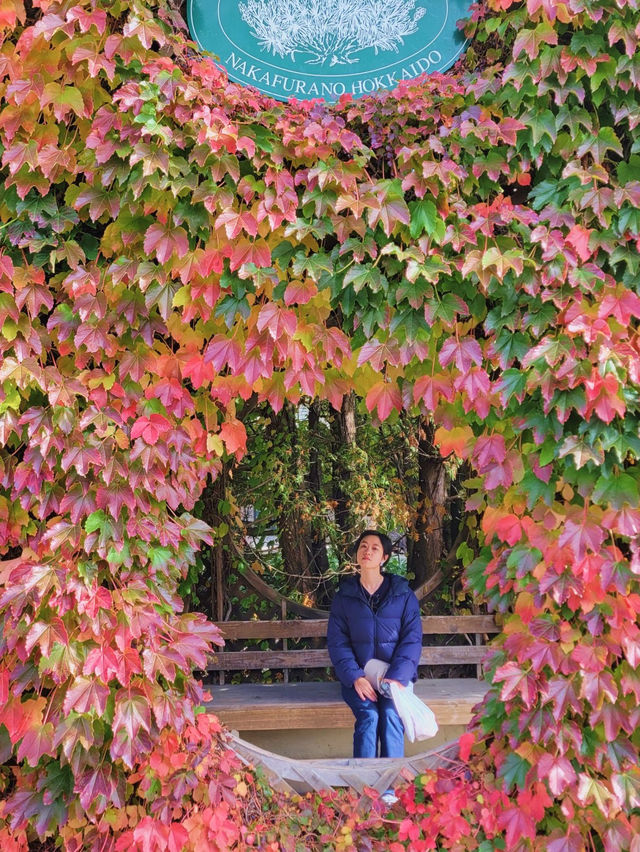 【カラフル💐北海道・富良野お花畑🪻】 