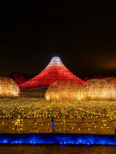 見所満載！なばなの里イルミネーション2024完全攻略 🗻✨今年のテーマ