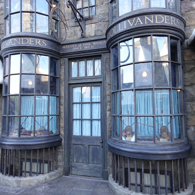 Potterhead's Dream!✨🪄🧙‍♂️