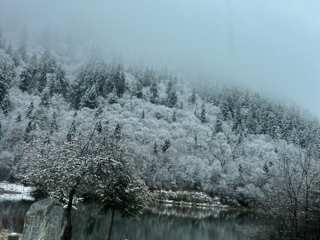 จุดชมวิวหิมะ สวยว้าวราวกับอยู่ในนิยาย ❄️☃️