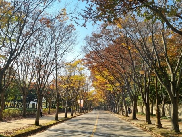 인천대공원 수목원 온실 다녀오기!!❣️