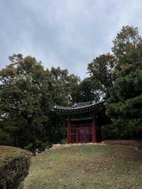 파주 가볼 만한 곳, 피크닉 명소, 산책 코스 추천