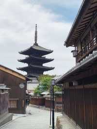 【京都　東山区　おでかけ記録】