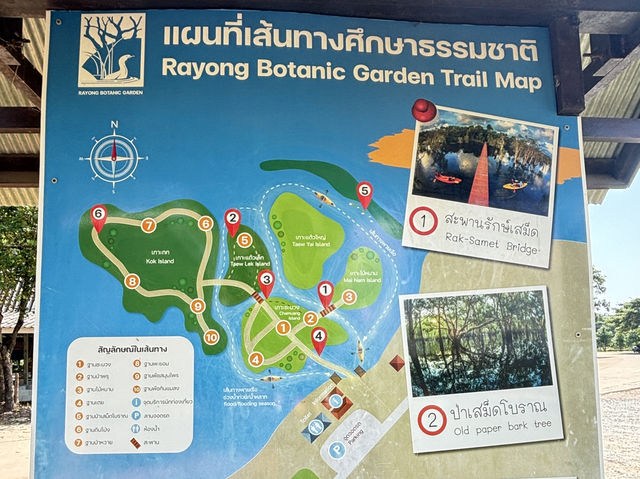 สวนพฤกษศาสตร์ ระยอง🍃🛶