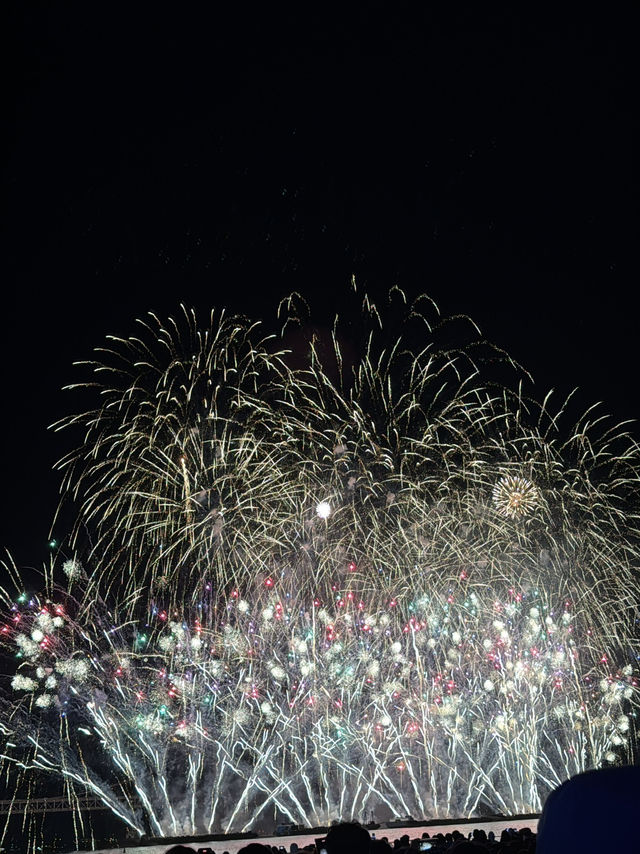 부산 불꽃축제 현장 직관 후기 부산 불꽃축제 현장 직관 후기