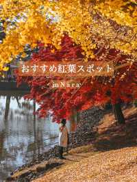 【奈良】銀杏も紅葉も見れる、おすすめの紅葉スポット