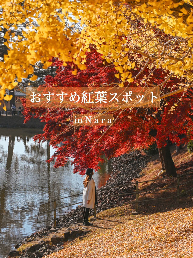 【奈良】銀杏も紅葉も見れる、おすすめの紅葉スポット