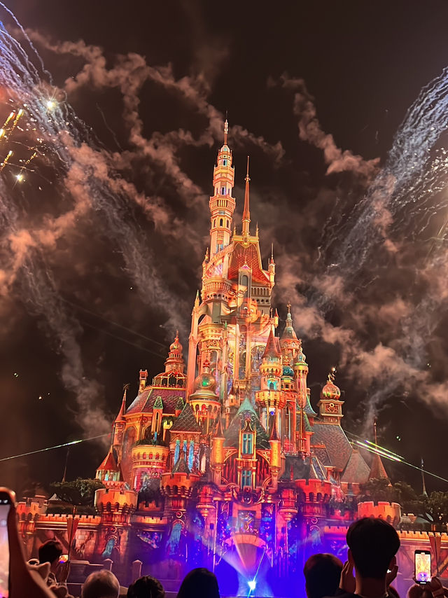 มาดูพลุที่ Hongkong Disneyland กันค่าาา