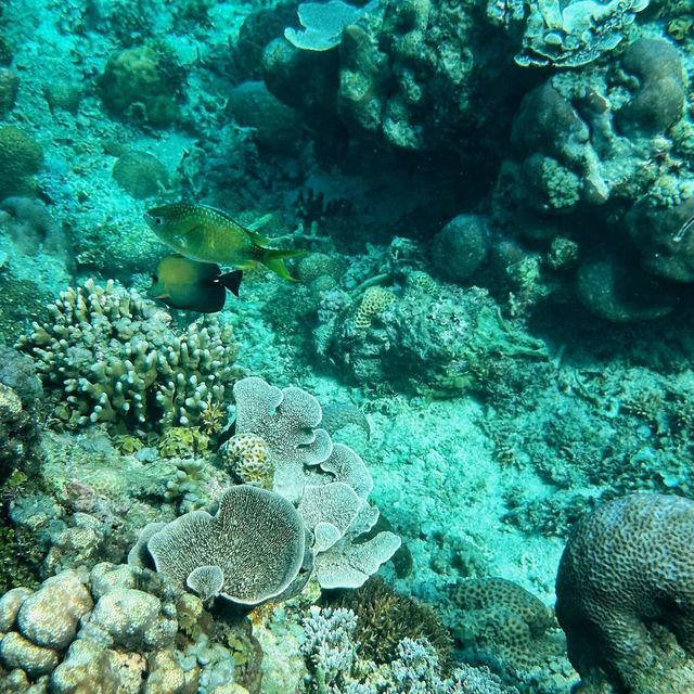 Dive into the Wonders of Gili Air
