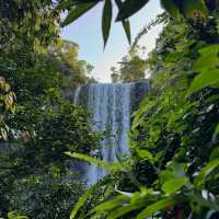 Explore the Natural Beauty of Atherton Tablelands