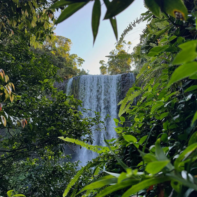 Explore the Natural Beauty of Atherton Tablelands