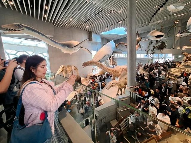 🦕🦓🦌Shanghai natural history museum