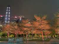 Light show at Shenzhen Civic Center