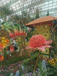 An awesome visit to garden by the bay 💐