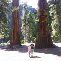 Discover the Famous Scenic Lake Tahoe Emerald Bay in Summer 