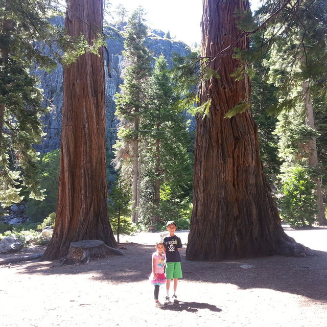 Discover the Famous Scenic Lake Tahoe Emerald Bay in Summer 