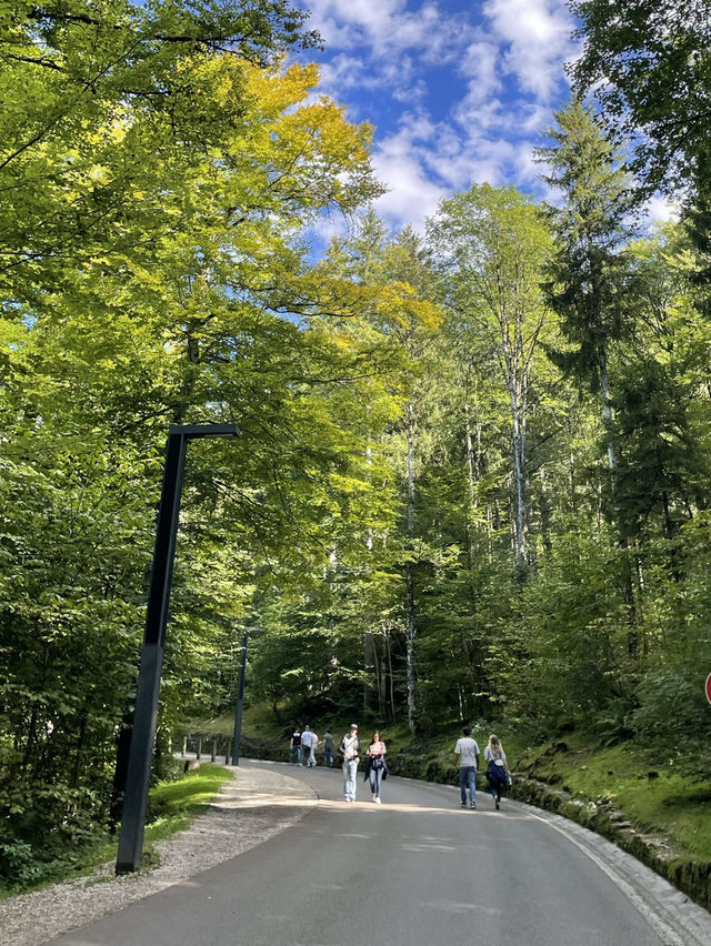 독일/뮌헨🇩🇪 신데렐라의 성🏰 노이슈반슈타인 성