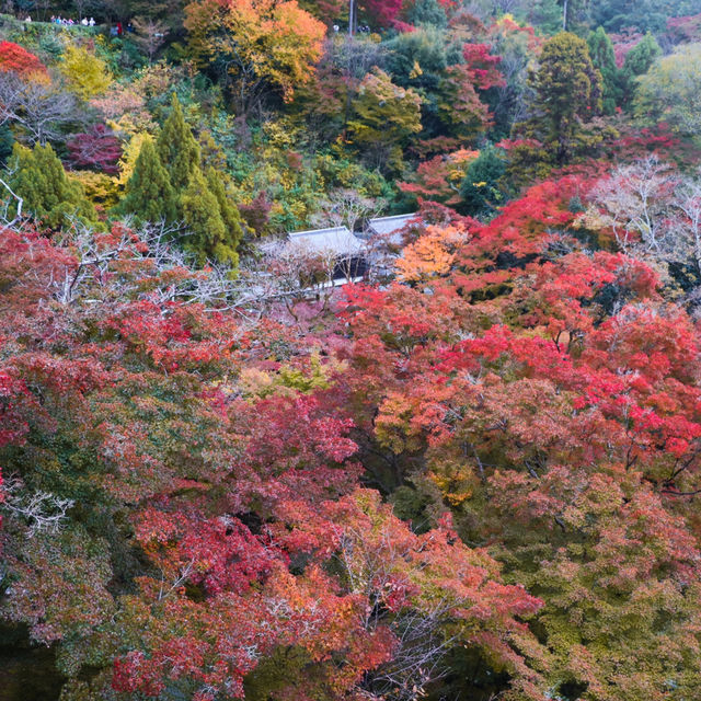 Kiyomizu-dera Temple