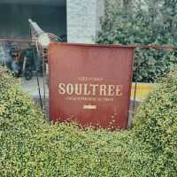 【東京・二子玉川】Cafe Soul tree