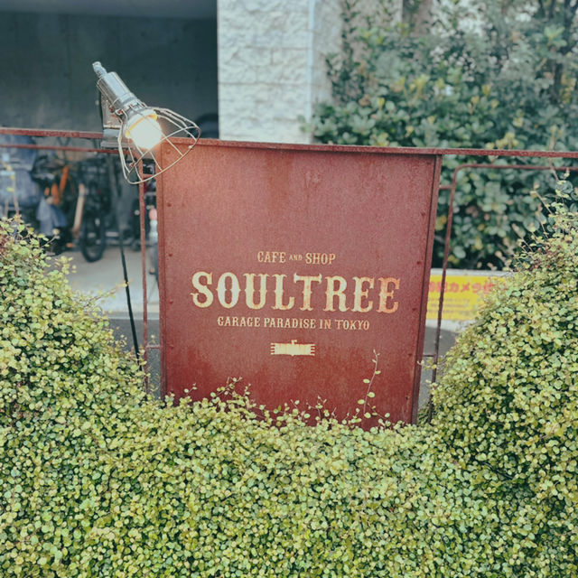 【東京・二子玉川】Cafe Soul tree