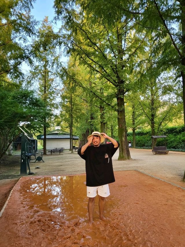 메타세콰이어와 맨발산책도 즐기는 담양여행지
