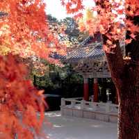 韓國大邱_Bulguksa 불국사 佛國寺_韓國國寶502號