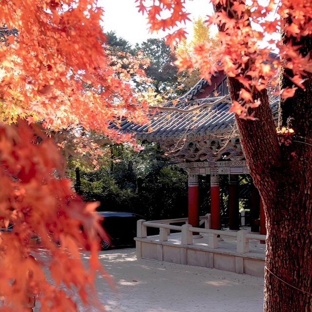 韓國大邱_Bulguksa 불국사 佛國寺_韓國國寶502號