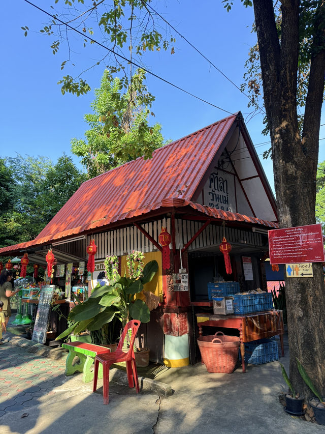 📍วังมัจฉา หน้าวัดศรีบุญยืน ลำพูน
