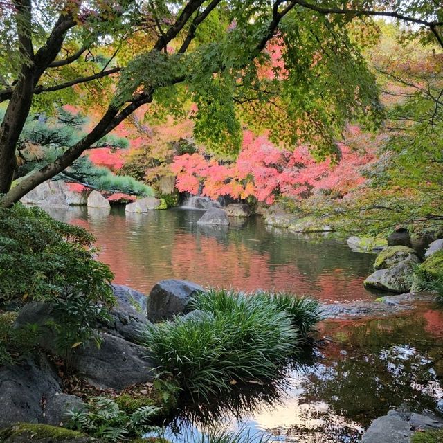 姬路城西御屋敷跡庭園〔好古園〕紅葉絕景  
