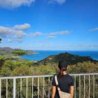 Magnetic Island - Paradise for Everyone