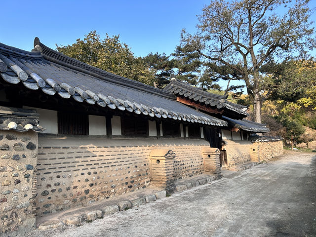 🇰🇷大邱✈️南平文氏本里世居地仁興村인흥마을