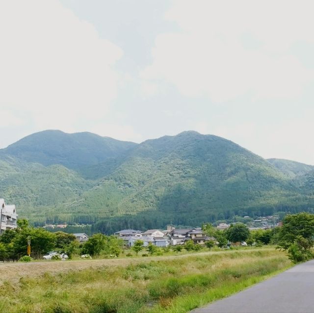 湯布院：溫泉與美景交織的療癒小鎮