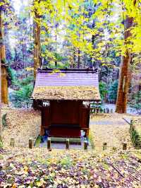熊本観光☺️神秘的で荘厳な上色見熊野座神社⛩️✨
