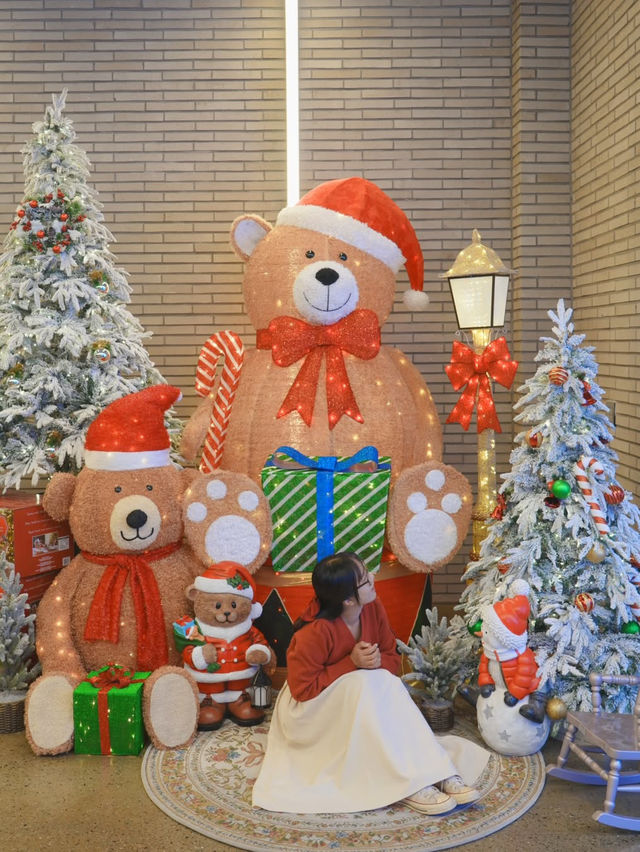 실시간) 사장님께서 손수 공들여 꾸미신 청주 레스토랑 겸 카페🎄❤️ 