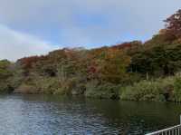 ✨ 芦ノ湖（あしのこ）：箱根を象徴する絶景スポット