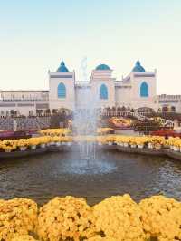 Winter Magic Awaits at Imsil Cheese Theme Park