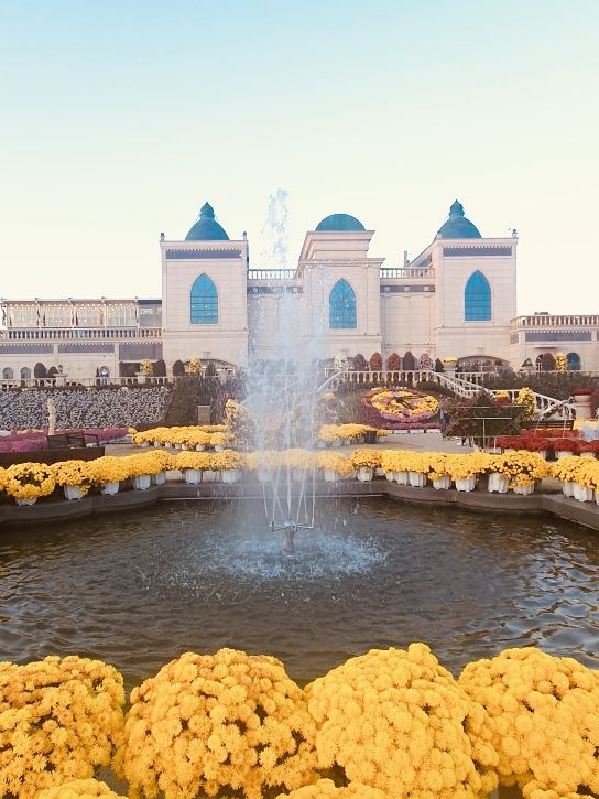 Winter Magic Awaits at Imsil Cheese Theme Park