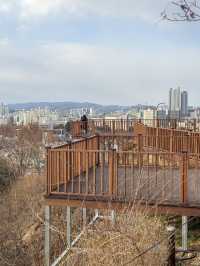 대전 뷰좋은 산책 코스 ‘대동하늘공원’