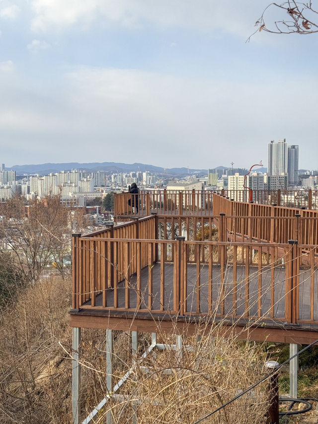 대전 뷰좋은 산책 코스 ‘대동하늘공원’